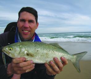 Casting metal lures into the surf from the beach between Thurra and Mueller rivers was a productive way to catch both salmon and tailor.